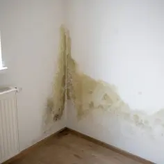 Pleśń na ścianie w rogu pokoju, przy oknie i grzejniku. Dowiedz się, jak pozbyć się wilgoci ze ścian w domu.