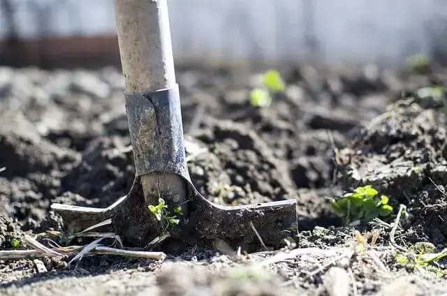 Zdjęcie Łopata Cellfast czy Fiskars - która jest lepsza do ogrodu?