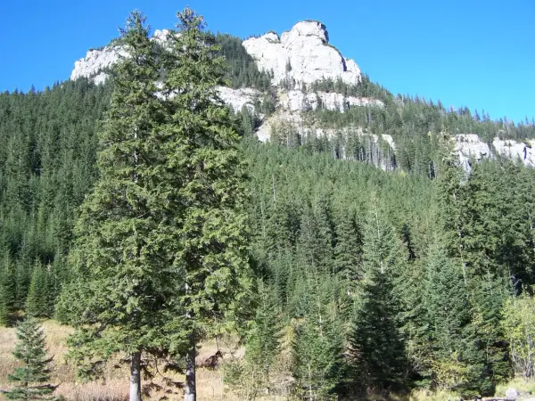 Regle - Co to jest i dlaczego to pierwszy krok w Tatry?